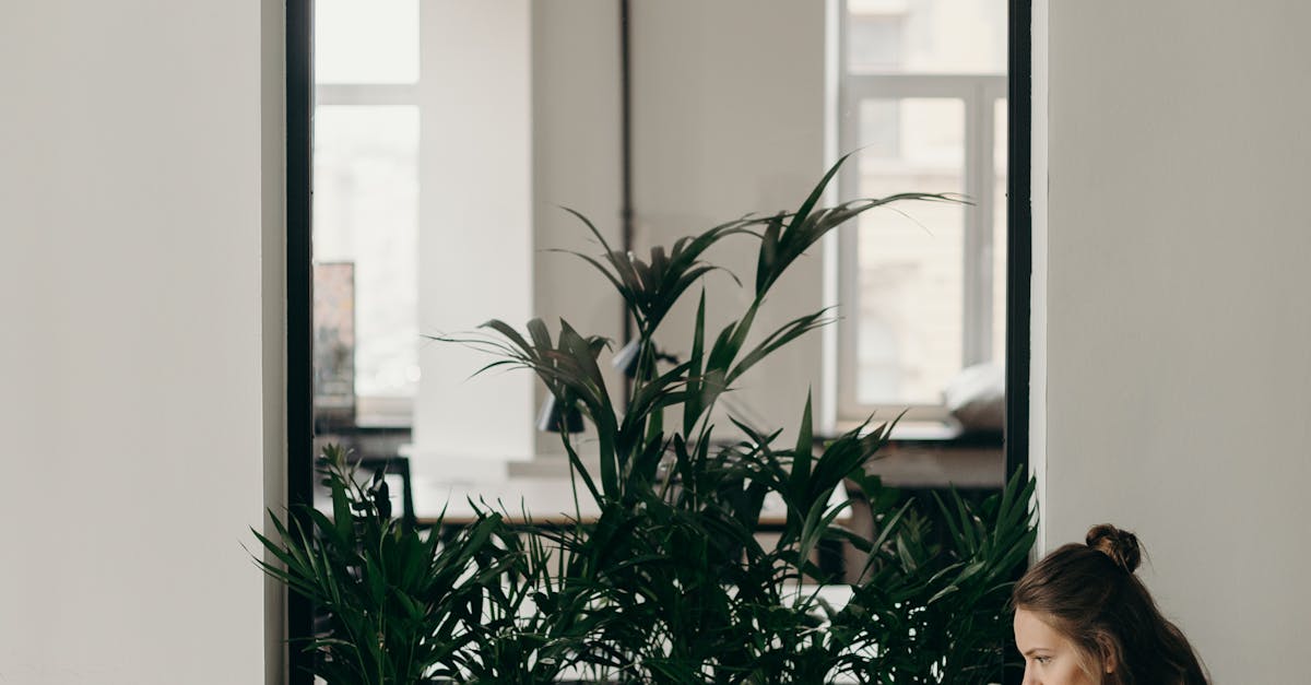 The Role of Graphics Cards in Screen Distortion Issues